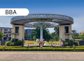 BBA, International Business